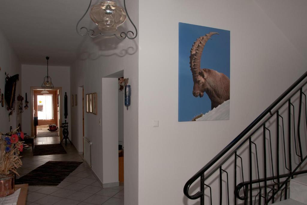 Appartements Schmalzerhof Gries im Sellrain Eksteriør bilde